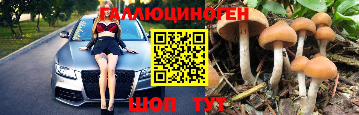 где можно купить   Вход с VPN  Петропавловск-Камчатский  Псилоцибиновые грибы Cubensis  Галлюциногенные грибы Cubensis 